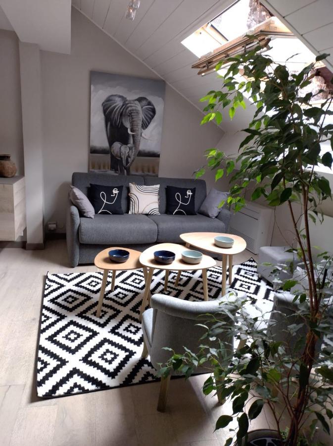 Apartament Le 3 De Coeur Annecy Zewnętrze zdjęcie